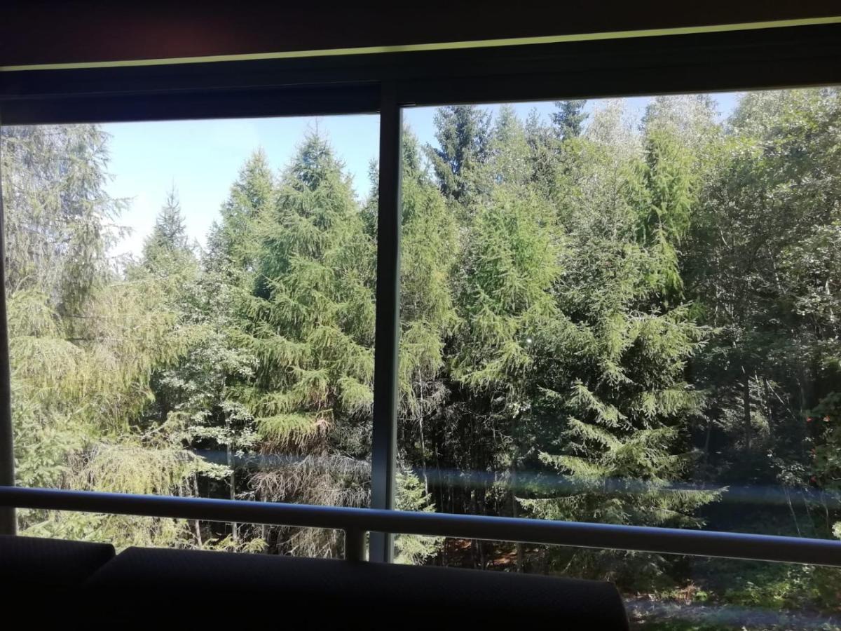 Finestra Sul Bosco - Monolocale Marilleva 1400 Daire Dış mekan fotoğraf